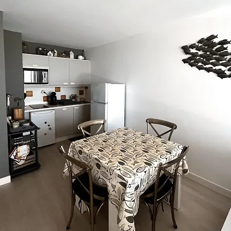 Apartamento 3 Pieces A 100m De La Avec Grande Terrasse Et Wifi - *