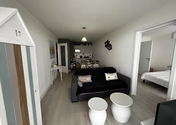 公寓 3 Pieces A 100m De La Avec Grande Terrasse Et Wifi - - Fr-1-197-537