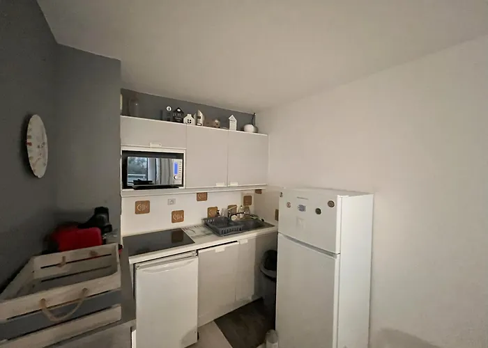 公寓 3 Pieces A 100m De La Avec Grande Terrasse Et Wifi - - Fr-1-197-537 *