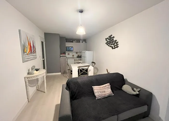 3 Pieces A 100m De La Avec Grande Terrasse Et Wifi - - Fr-1-197-537